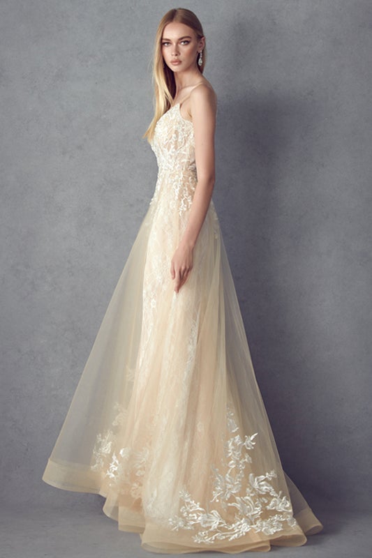Embroidered Sleeveless Gown by Juliet 249