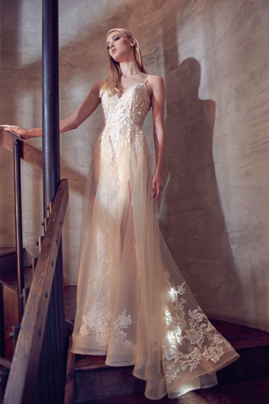 Embroidered Sleeveless Gown by Juliet 249