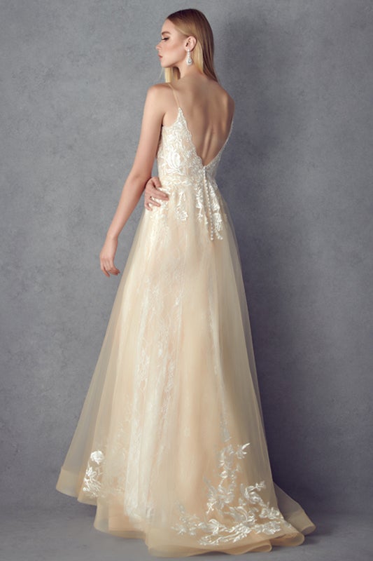 Embroidered Sleeveless Gown by Juliet 249