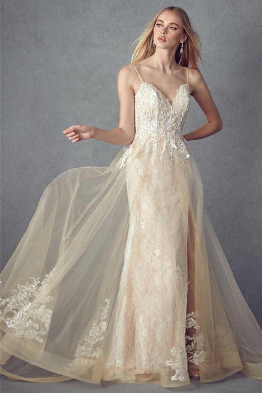 Embroidered Sleeveless Gown by Juliet 249