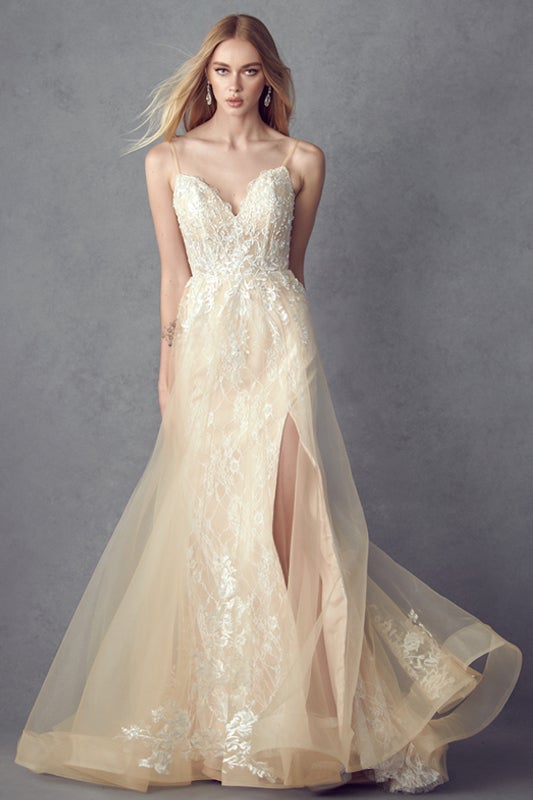 Embroidered Sleeveless Gown by Juliet 249