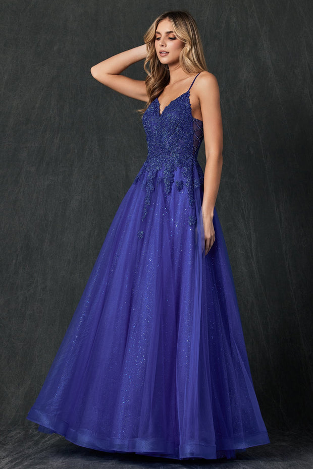 Embroidered Sleeveless Tulle Gown by Juliet 234