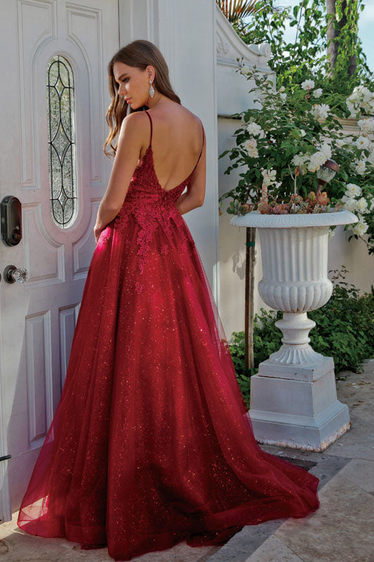 Embroidered Sleeveless Tulle Gown by Juliet 234
