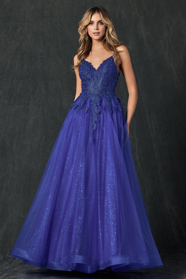 Embroidered Sleeveless Tulle Gown by Juliet 234