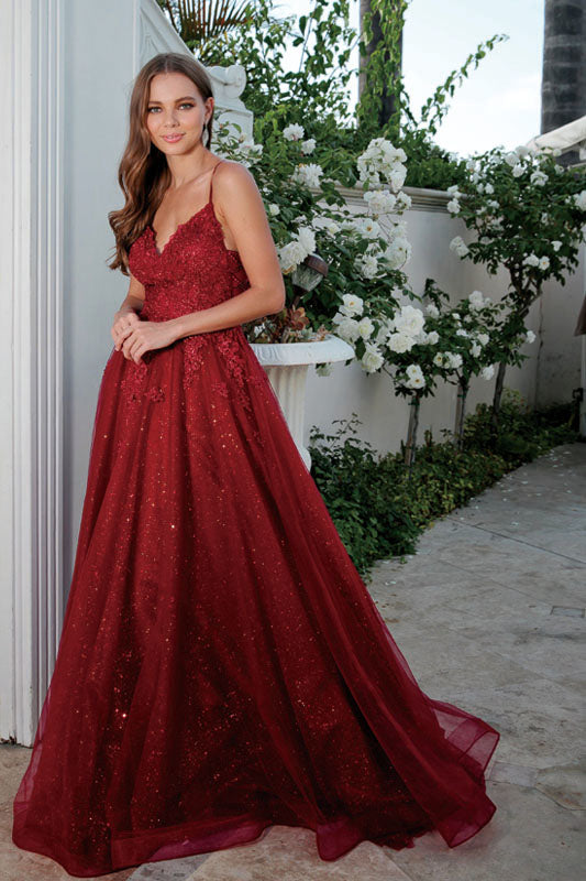 Embroidered Sleeveless Tulle Gown by Juliet 234