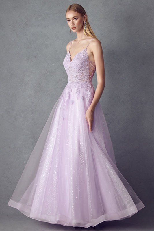 Embroidered Sleeveless Tulle Gown by Juliet 234