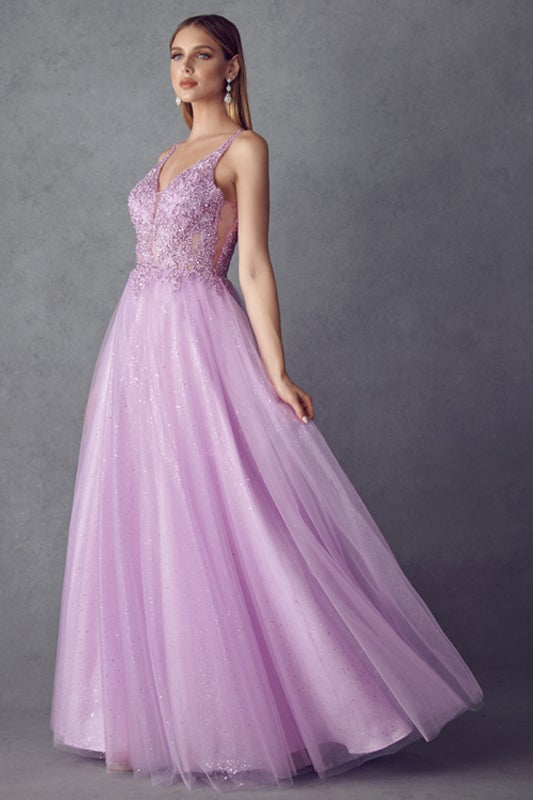 Embroidered Sleeveless Tulle Gown by Juliet 257