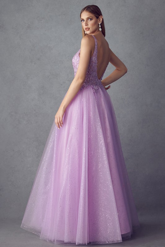 Embroidered Sleeveless Tulle Gown by Juliet 257