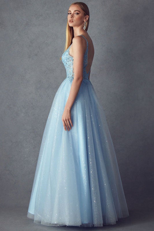 Embroidered Sleeveless Tulle Gown by Juliet 257