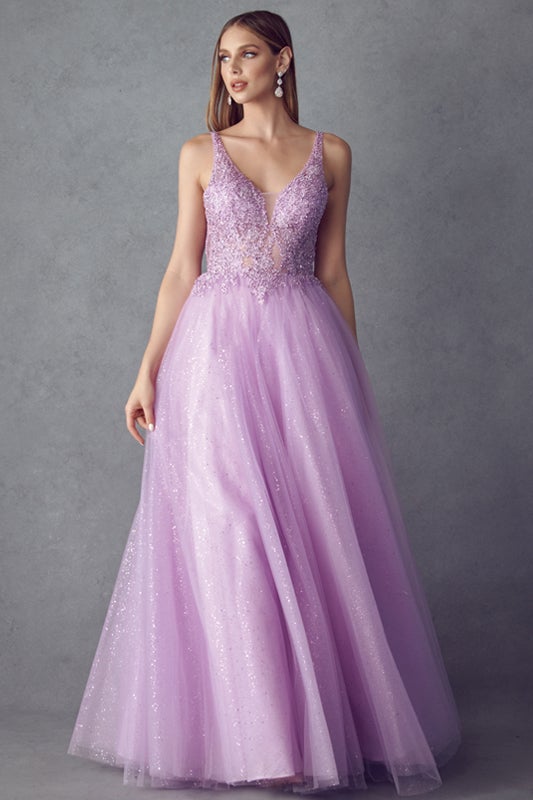 Embroidered Sleeveless Tulle Gown by Juliet 257