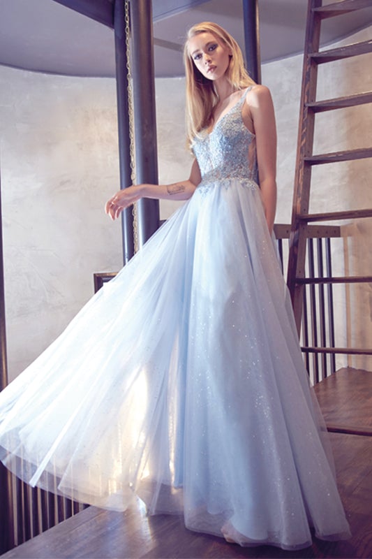 Embroidered Sleeveless Tulle Gown by Juliet 257