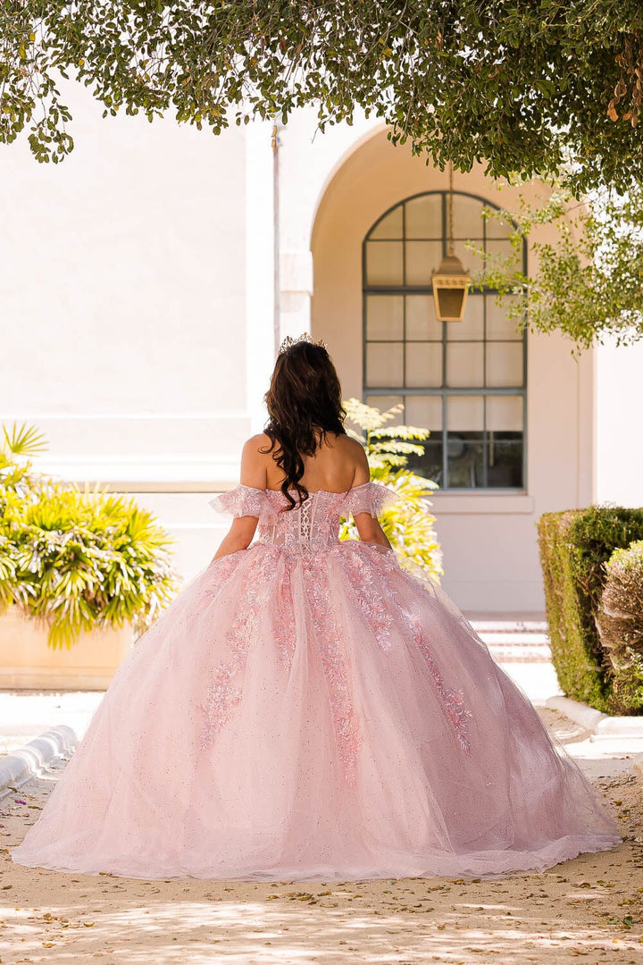 Embroidered Sweetheart Ball Gown by Petite Adele PQ1026