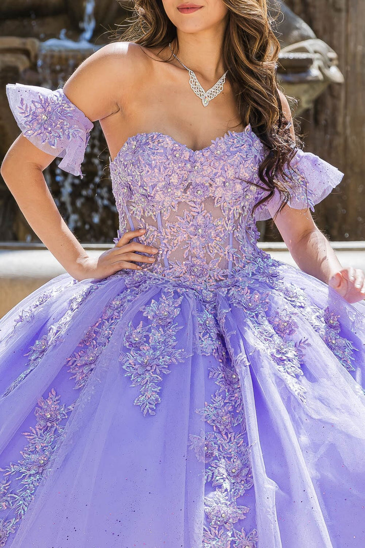 Embroidered Sweetheart Ball Gown by Petite Adele PQ1026