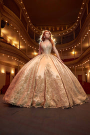 Embroidered V-Neck Quinceanera Dress by Ragazza DV97-597