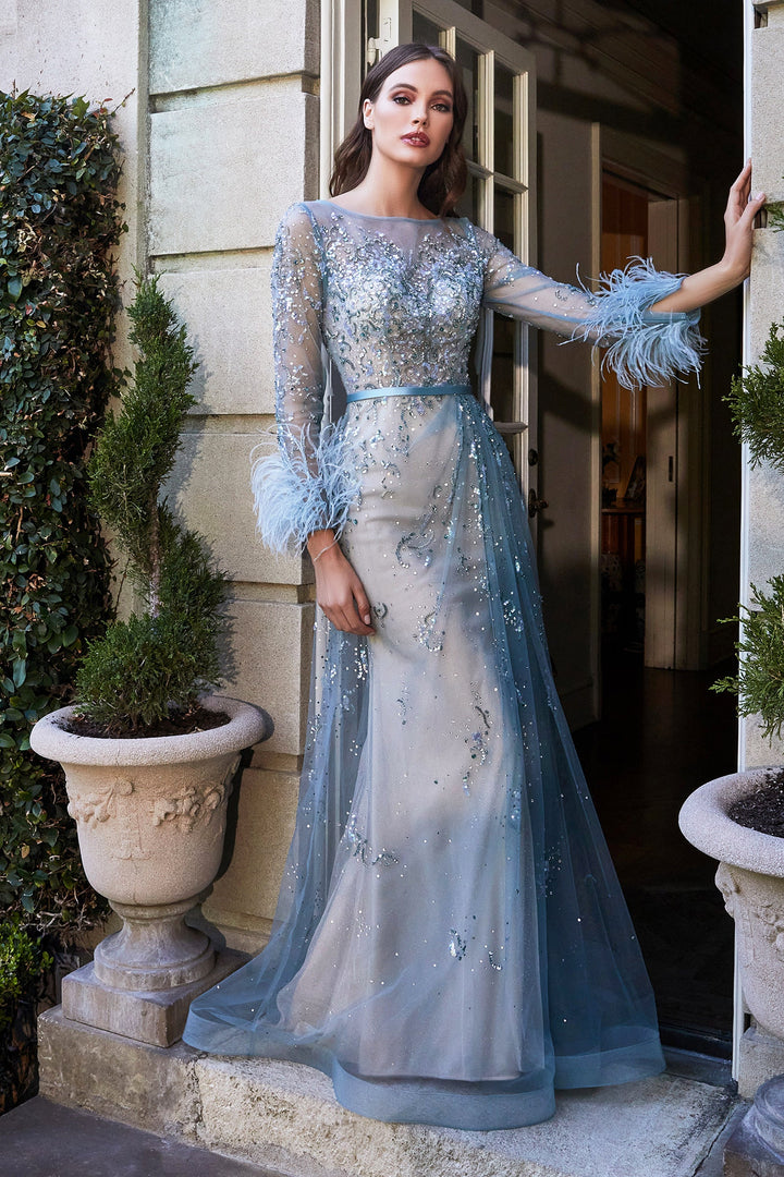Feather Long Sleeve Gown by Cinderella Divine B716