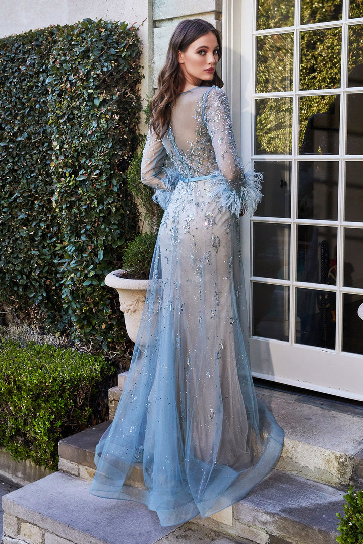 Feather Long Sleeve Gown by Cinderella Divine B716