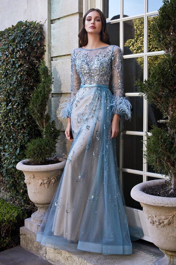 Feather Long Sleeve Gown by Cinderella Divine B716