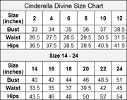 Feather Off Shoulder Gown by Cinderella Divine CB082