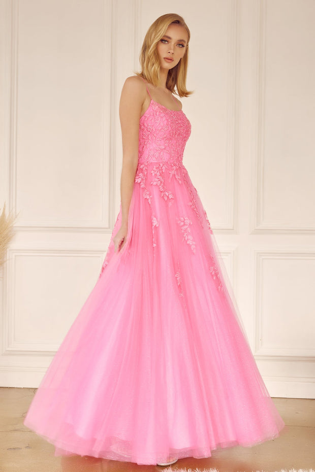 Floral Applique Corset Tulle Gown by Juliet 260