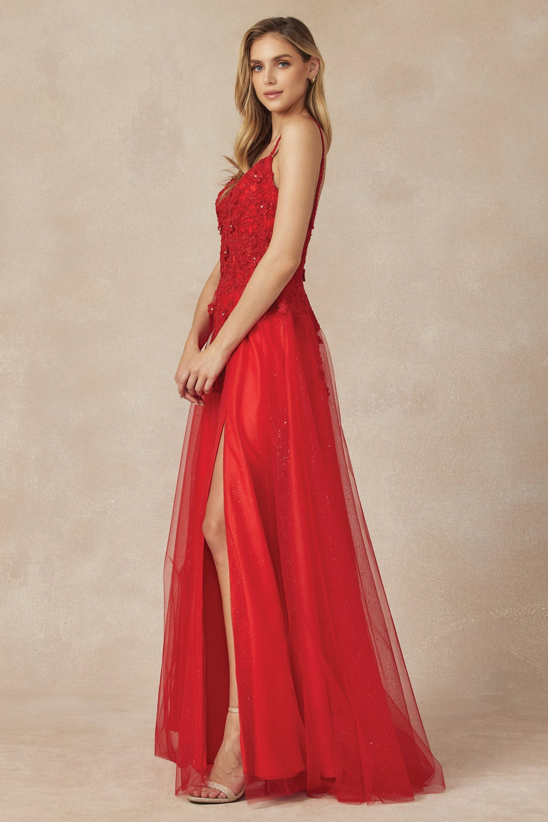 Floral Applique Long A-line Dress by Juliet 283
