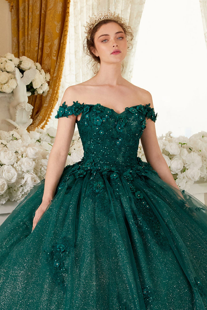 Floral Applique Off Shoulder Ball Gown by Ladivine 15702