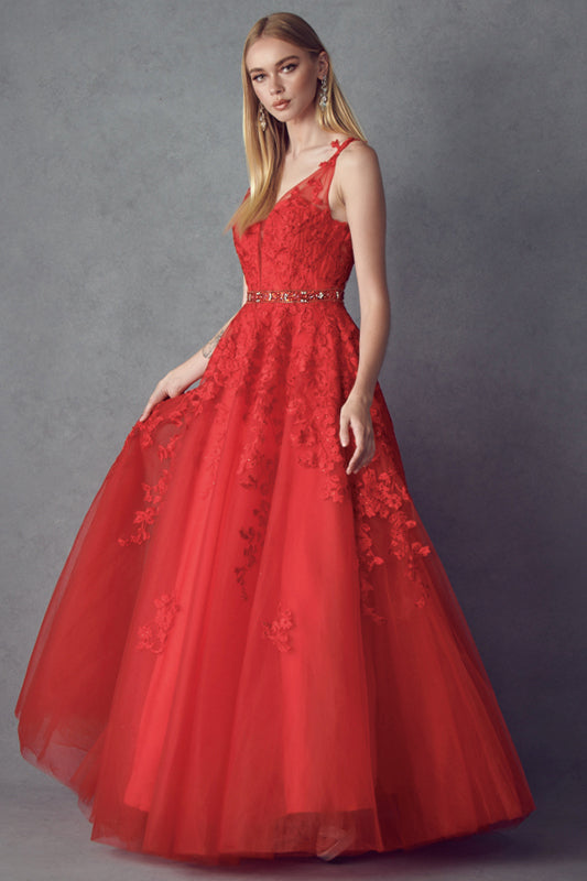 Floral Applique V-Neck Tulle Gown by Juliet 224