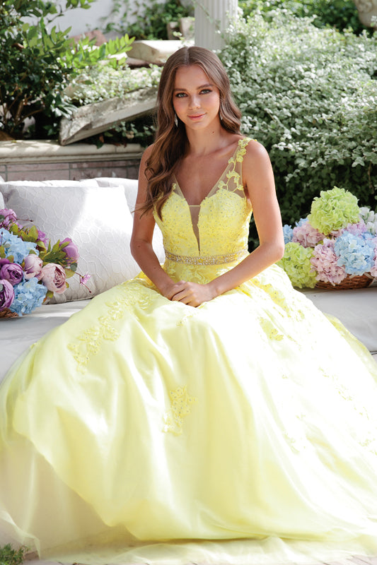 Floral Applique V-Neck Tulle Gown by Juliet 224