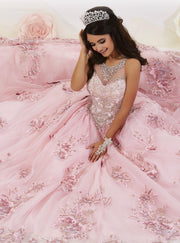 Floral Appliqued Quinceanera Dress by House of Wu 26884-Quinceanera Dresses-ABC Fashion