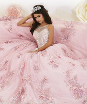 Floral Appliqued Quinceanera Dress by House of Wu 26884-Quinceanera Dresses-ABC Fashion
