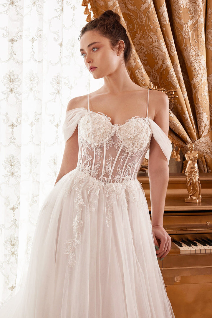 Floral Embroidered Corset Bridal Gown by Ladivine WN307