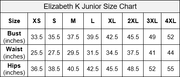 Floral Embroidered Off Shoulder Ball Gown by Elizabeth K GL2802-Quinceanera Dresses-ABC Fashion