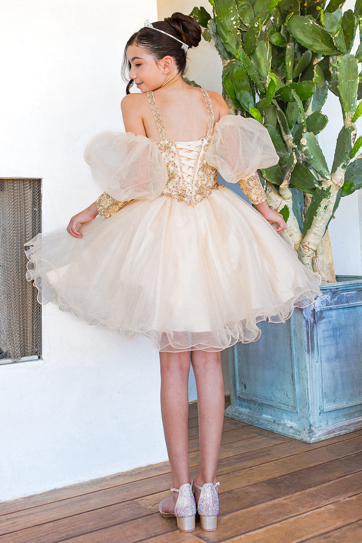 Girls Applique Short Puff Sleeve Dress by Cinderella Couture 5113