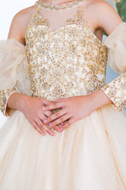 Girls Applique Short Puff Sleeve Dress by Cinderella Couture 5113