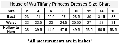 Girls Long Beaded A-line Dress by Tiffany Princess 13521