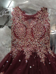 Girls Long Lace Applique Dress by Tiffany Princess 13523