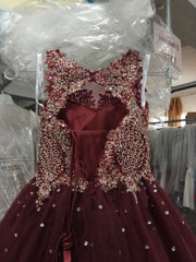 Girls Long Lace Applique Dress by Tiffany Princess 13523