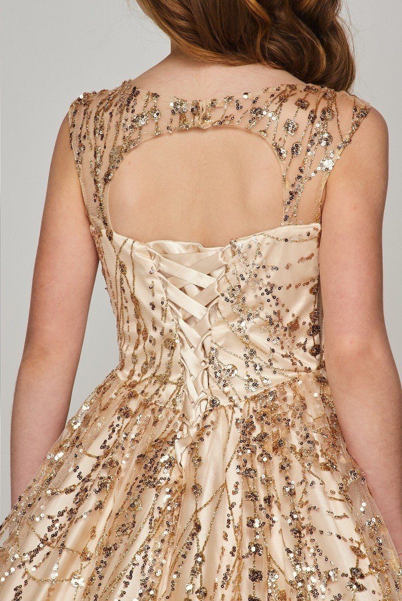 Girls Long Sleeveless Glitter Dress by Cinderella Couture 8007