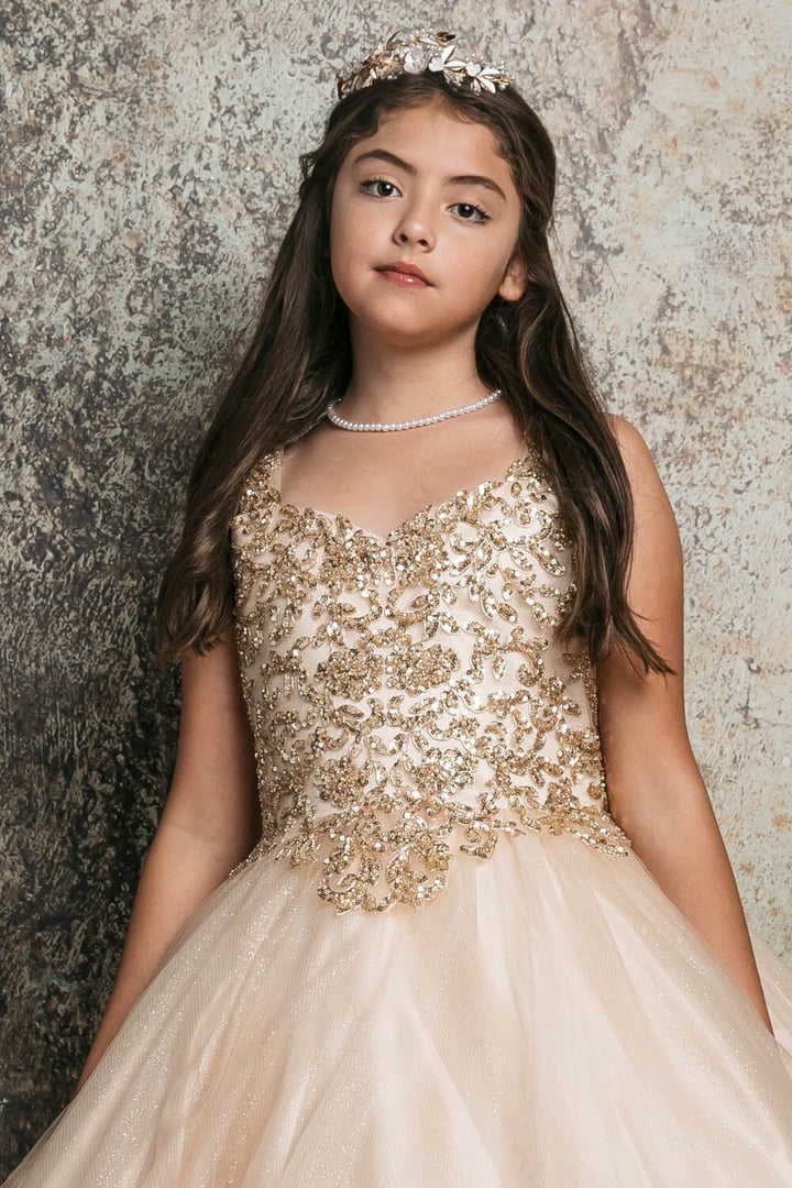 Girls Sequin Applique Sleeveless Gown by Petite Adele C337