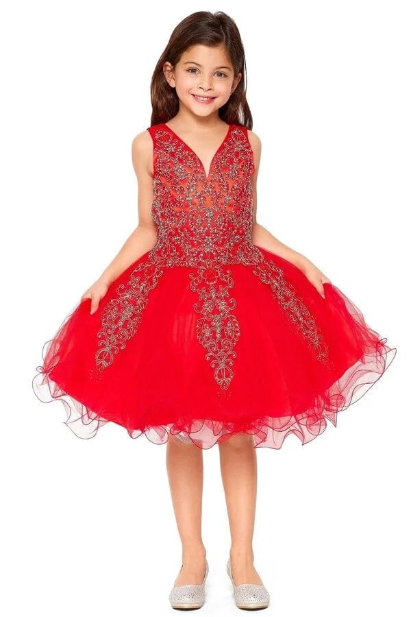 Girls Short Applique V-Neck Dress by Cinderella Couture 5110