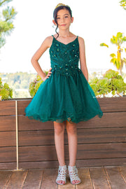Girls Short Floral Applique Dress by Cinderella Couture 5112