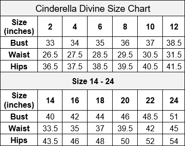 Glitter Mermaid Gown by Cinderella Divine CB093