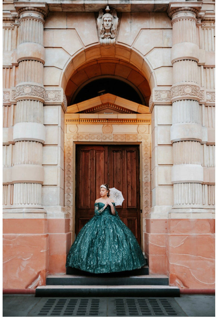 Glitter Print Bell Sleeve Ball Gown by Juliet 1438