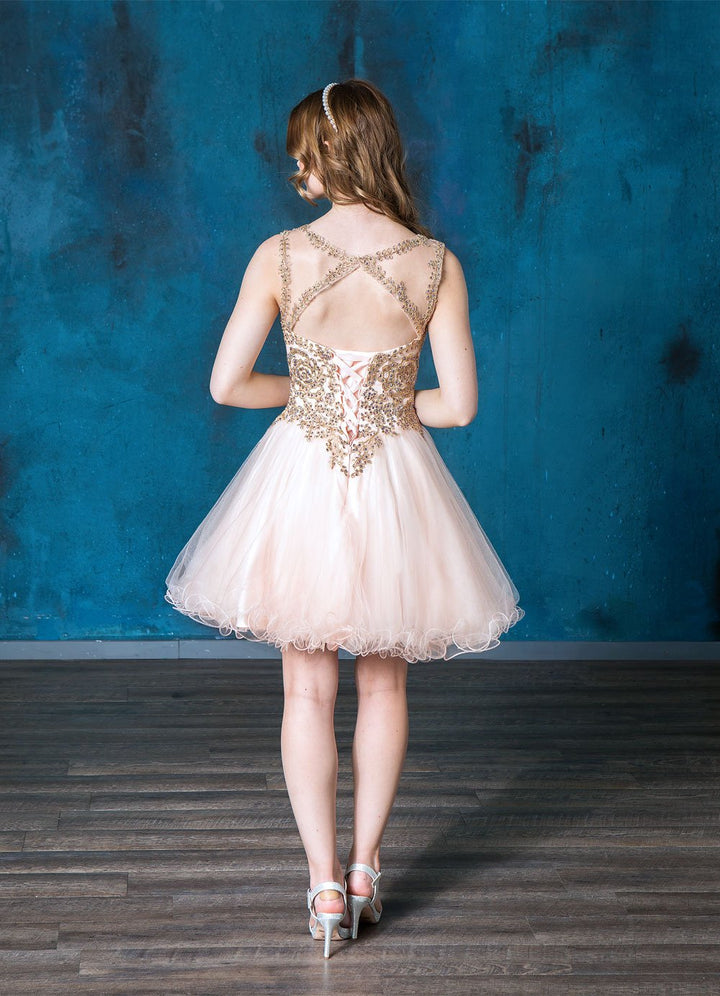 Gold Applique Short Sleeveless Dress by Calla KY70179