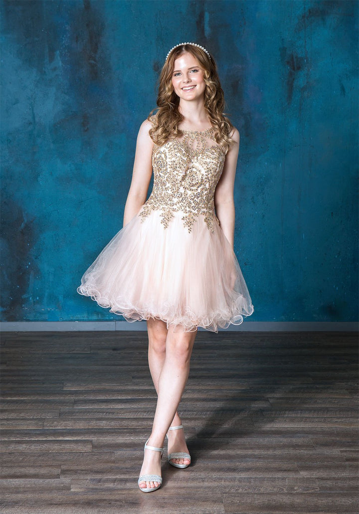 Gold Applique Short Sleeveless Dress by Calla KY70179