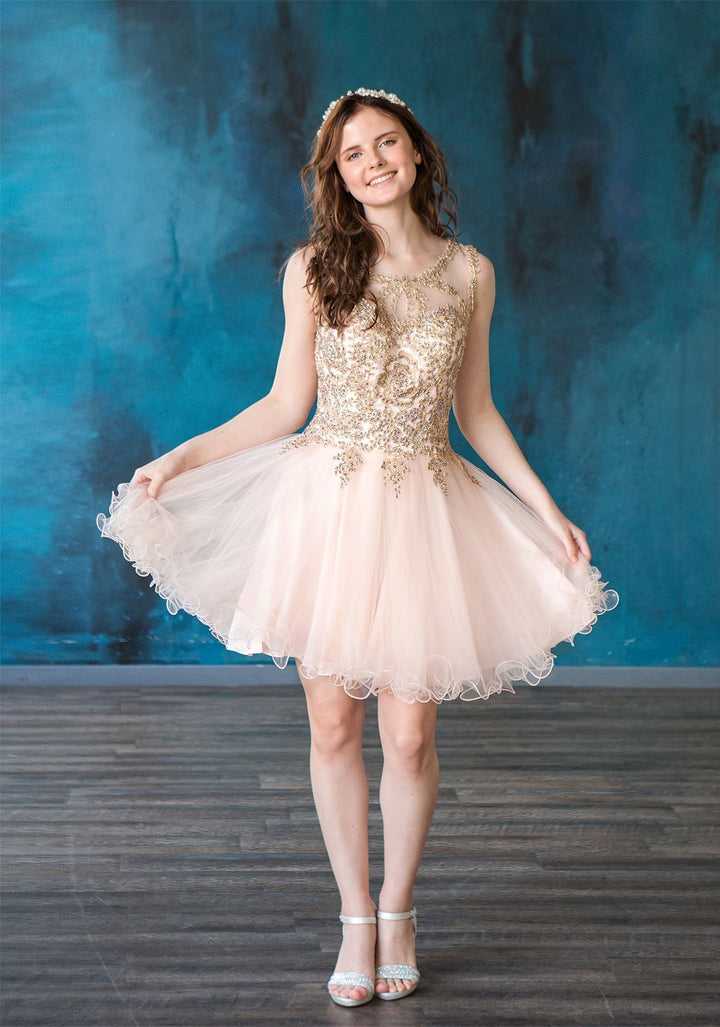 Gold Applique Short Sleeveless Dress by Calla KY70179