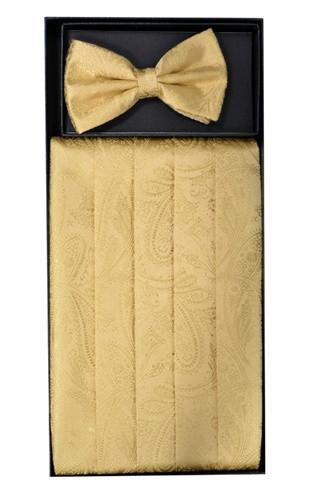 Gold Paisley Cummerbund and Bow Tie Set-Men's Cummerbund-ABC Fashion