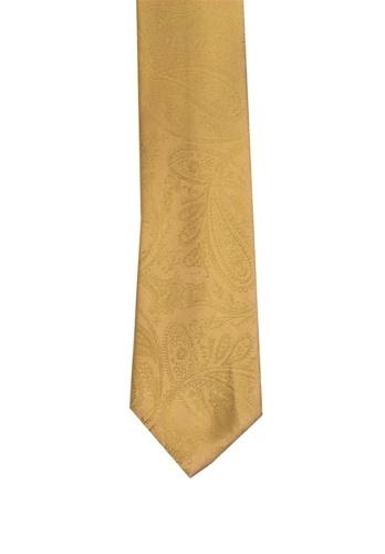 Gold Paisley Necktie-Men's Bow Ties-ABC Fashion