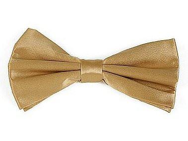 Gold Silk Self Tie Bow Ties-Men's Bow Ties-ABC Fashion