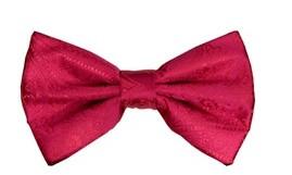 Hot Pink Paisley Bow Ties with Matching Pocket Squares-Men's Bow Ties-ABC Fashion