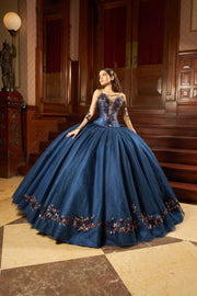 Illusion Sleeve Quinceanera Dress by Ragazza D95-595
